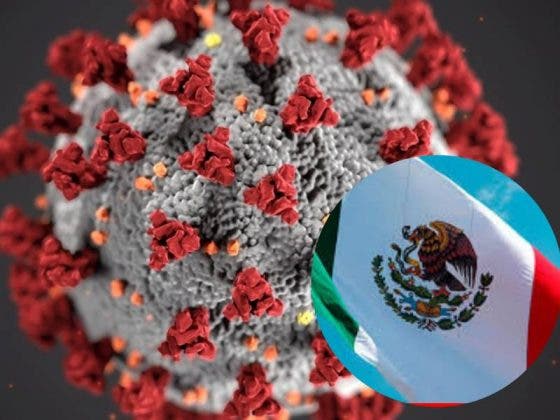 Analizan existencia de posible nueva cepa ‘mexicana’ del coronavirus