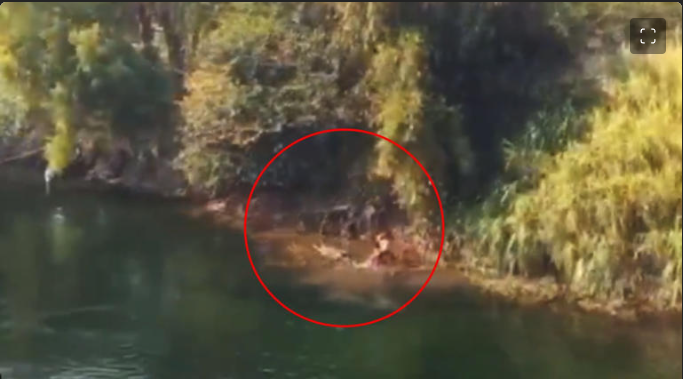 VIDEO: Familia muere ahogada en río de Chiapas durante descanso de Semana Santa