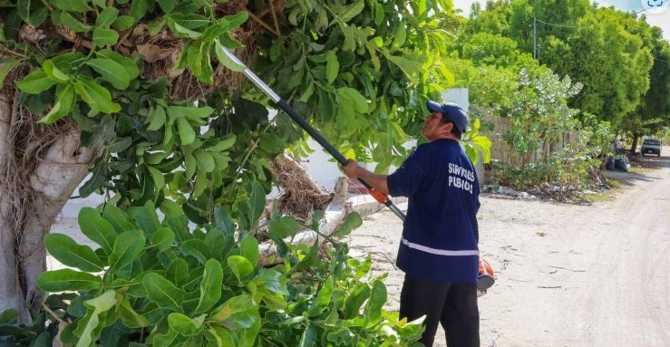 Realizan acciones en pro de la ecología en Progreso