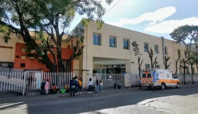 Oaxaca: Niña de 2 años mordida por murciélago podría ser dada de alta