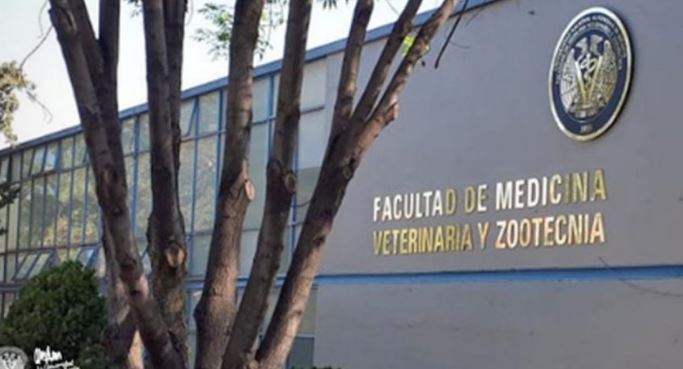 Facultad de Veterinaria de la UNAM suspende clases ante denuncias por plaga de chinches