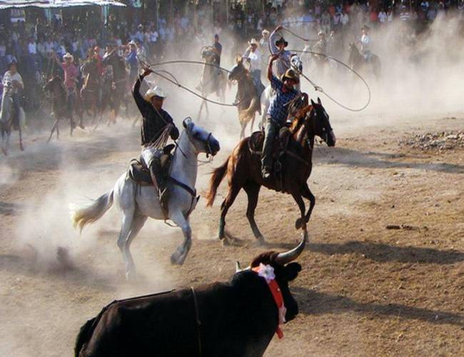 Insistirán en prohibir los torneos de lazo en Yucatán