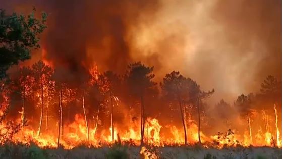 Incendios castigan Francia y España en plena "ola de calor"