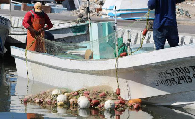 Gobierno de Yucatán adelanta pago de apoyos a pescadores ante la contigencia