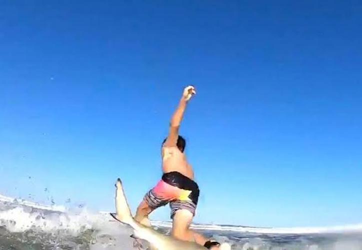 (VIDEO)Niño choca con un tiburón mientras surfeaba  ¡Vaya susto!