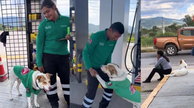 (VÍDEO) Rescatan a un can y ahora es el "Perro gasolinero"