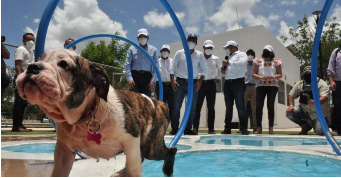 Peek Park, segundo módulo veterinario público en Mérida