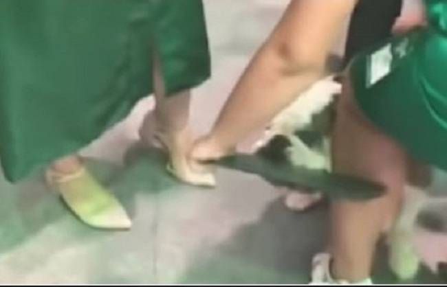 Perro destruye diploma de recién graduada