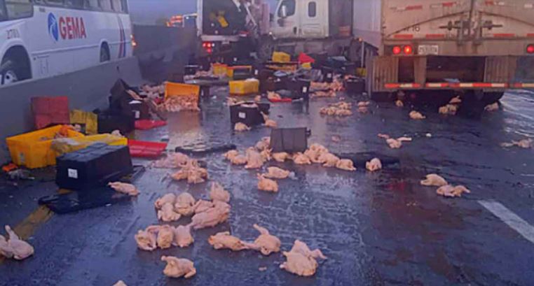 ¡Rapiña en NL! Chocan camión y tráiler: Vecinos y conductores se roban los pollos