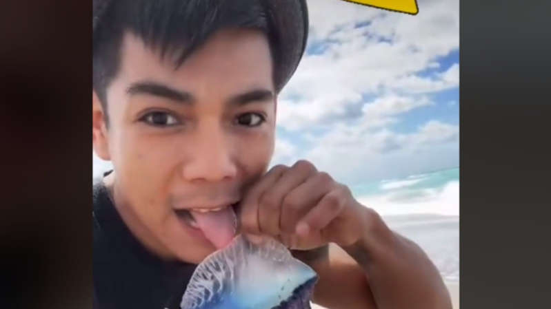 Usuario de TikTok lame una medusa venenosa sólo por obtener "likes"