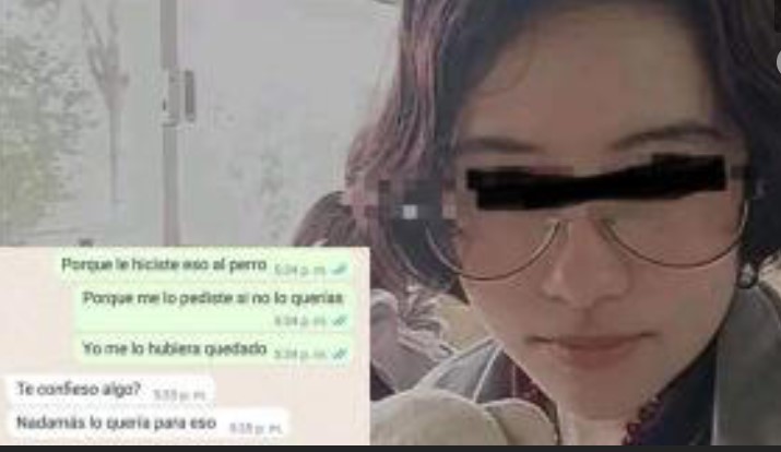 Puebla: Denuncian en redes a alumna que adoptó y mató a un perrito