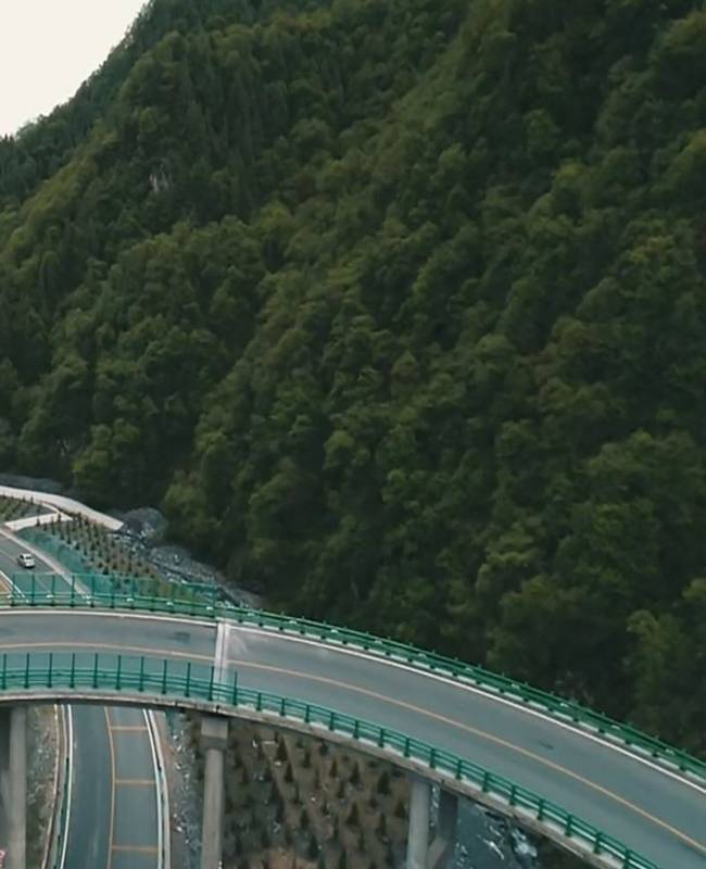 China inaugura autopista para la cual no se tuvo que cortar árbol alguno