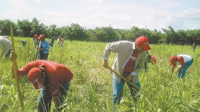 Mexicanos que trabajan en Canadá están indefensos y son explotados