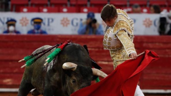 Juez suspende definitivamente las corridas de toros en la Plaza México