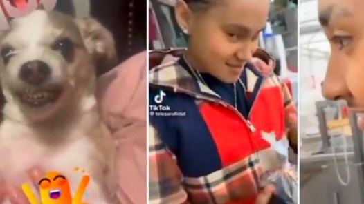 (VIDEO) Perrito "imita" a Yahritza y se vuelve viral en redes