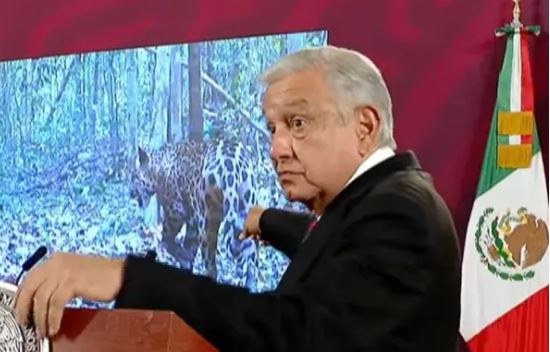 AMLO trata de desmentir afectaciones de Tren Maya con video grabado en Brasil