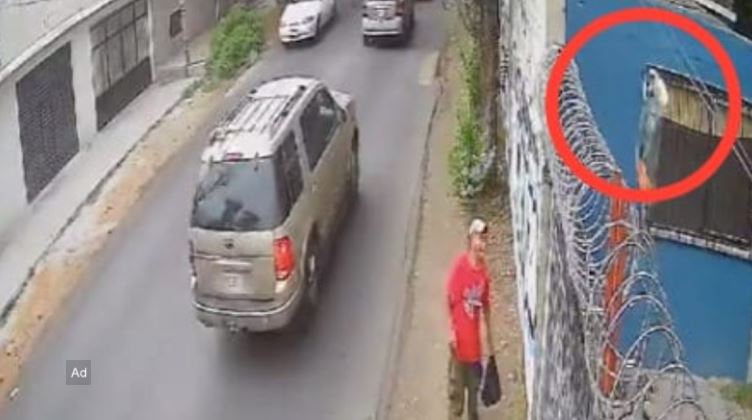 (VIDEO) CDMX: Sujeto avienta a dos perritos con sarna a una casa en Milpa Alta