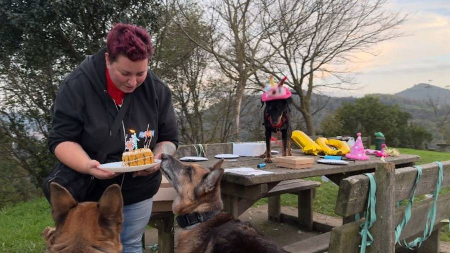Perrifiestas: celebraciones de cumpleaños caninos en Bilbao