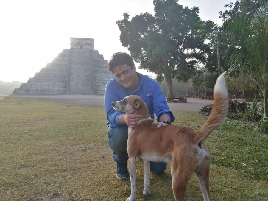 Inicia la segunda etapa de la “Operación Rescate Perritos de Kukulkán” en Chichén Itzá