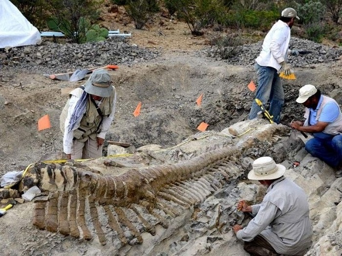 Nueva especie de dinosaurio crestado aparece en México