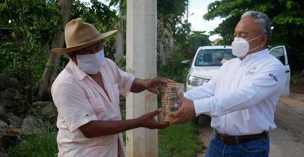 Apoyan a apicultores de Yucatán: reciben 500 abejas reina