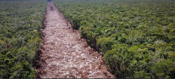 Semarnat llama “pseudoambientalistas” a críticos del Tren Maya