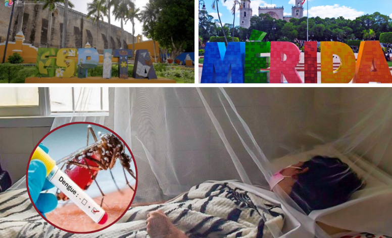 Dengue en Yucatán en 2025: los primeros casos son de alarma y grave
