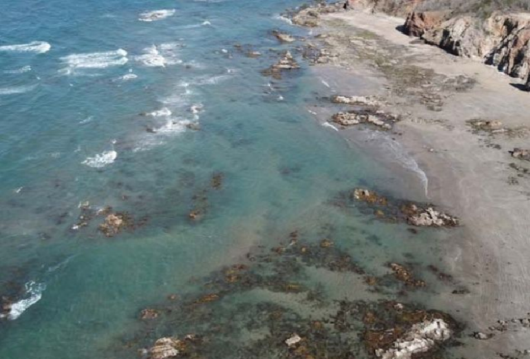 ¿Por qué el mar se aleja de las playas de algunos estados de México?