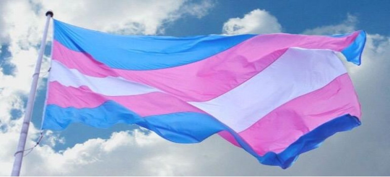 La bandera trans llegó a los emojis de WhatsApp ¿cómo conseguirla?