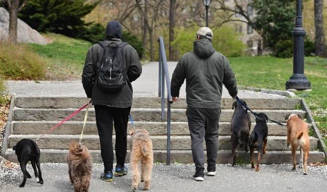 China saca de su menú a perros y gatos