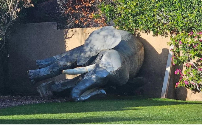 EE.UU.: Un vecino llama a la policía por un 'elefante muerto' en el jardín... era de yeso