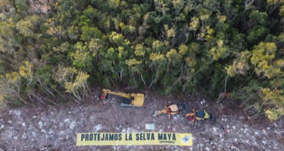 Greenpeace pide a AMLO “la suspensión inmediata” del tramo 5 del Tren Maya