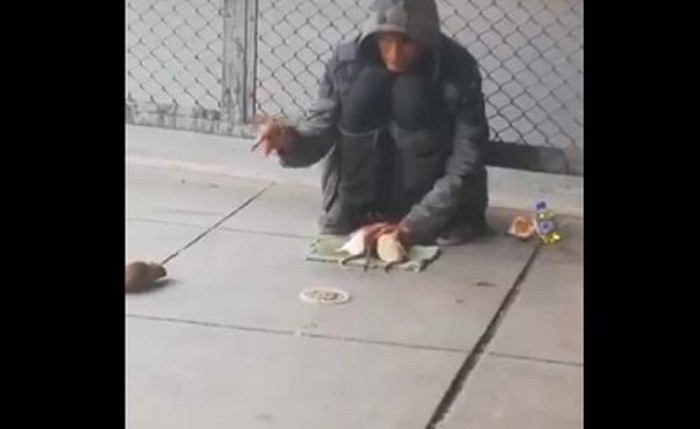 (Video) ¡Tienes que ver esto! Hombre realiza truco con ratas