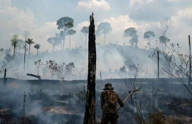 Paraguay suma aviones para controlar incendios forestales