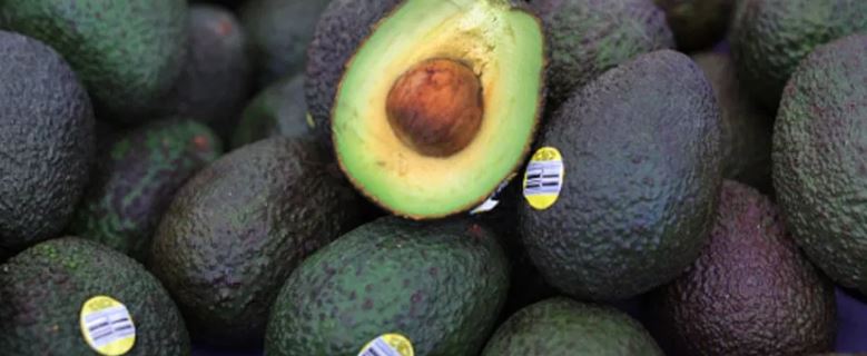 IMSS: Comer aguacate reduce la glucosa y el colesterol