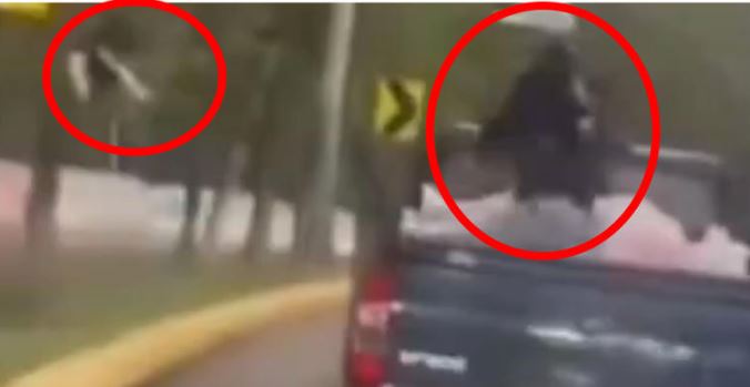 Lanzó gatitos desde camioneta en Edomex