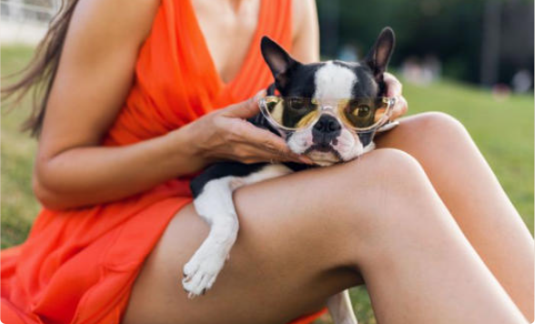 Esto le pasa a un perro si come arroz cocido; alimentos que jamás debes darles