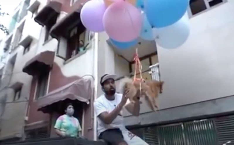 Detienen a "youtuber" por hacer ‘volar’ a su perro con globos