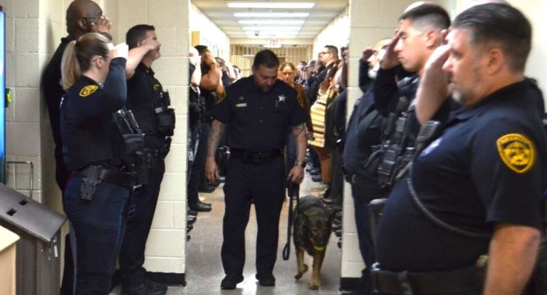 Uniformados de EE.UU. despiden con honores a perrita policía con cáncer terminal