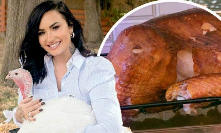 Demi Lovato pide adoptar un pavo y luego comparte foto de uno horneado