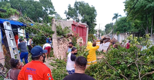 Yucatán: Procivy atiende a población de Pisté, ante caída de árboles y postes