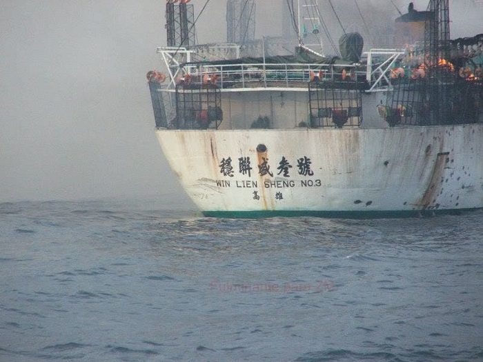 Alerta la posible llegada de piratas chinos a costas mexicanas