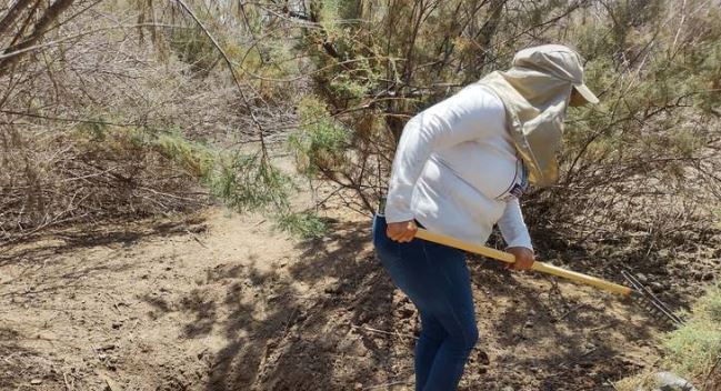 Sonora: Madres Buscadoras ‘Aunque sea huesos, pero queremos encontrarlos’