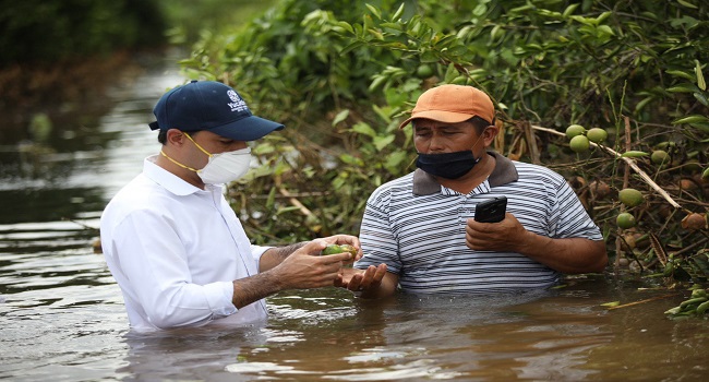 Constata Vila fuerte devastación de Cristobal en municipios de Yucatán