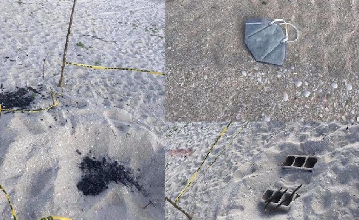 Yucatán: Destruyen más de 100 huevos de tortuga en playas de Chuburná