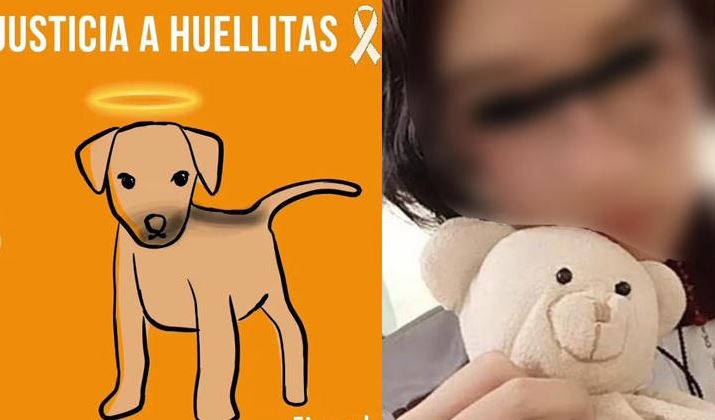 Ya hay denuncia formal contra joven que mató al perrito Huellitas