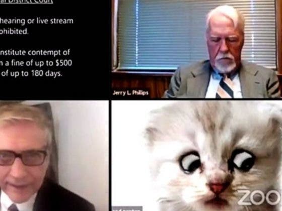 Abogado activa filtro de gato en una videoconferencia y sabe como quitarlo