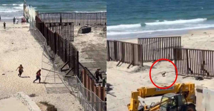 ¡Hasta el perro cruzó! Migrantes aprovechan reparación de muro y pasan corriendo a EE.UU.