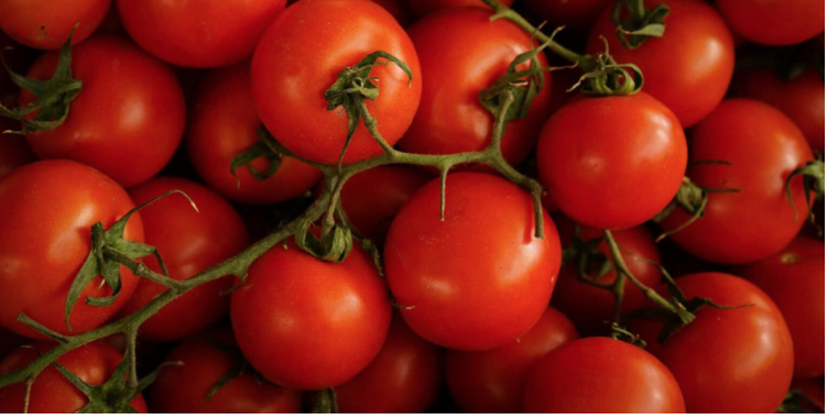 EE.UU. impondrá arancel del 20.91% a tomates mexicanos