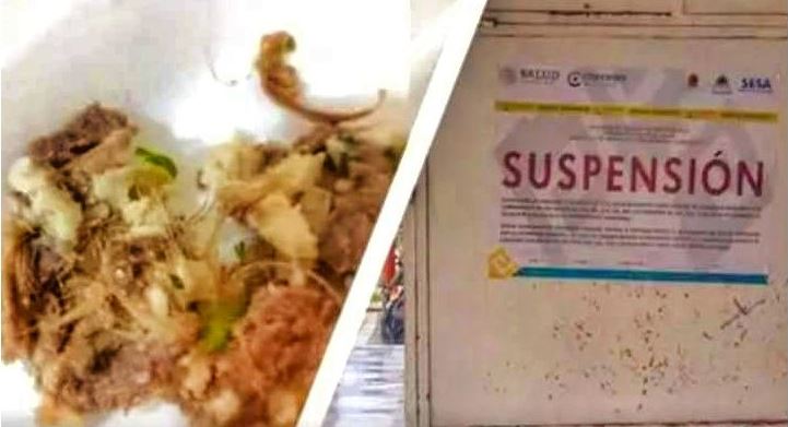 Cancún: Cofepris clausura taqueria, había pelos del perro en la comida